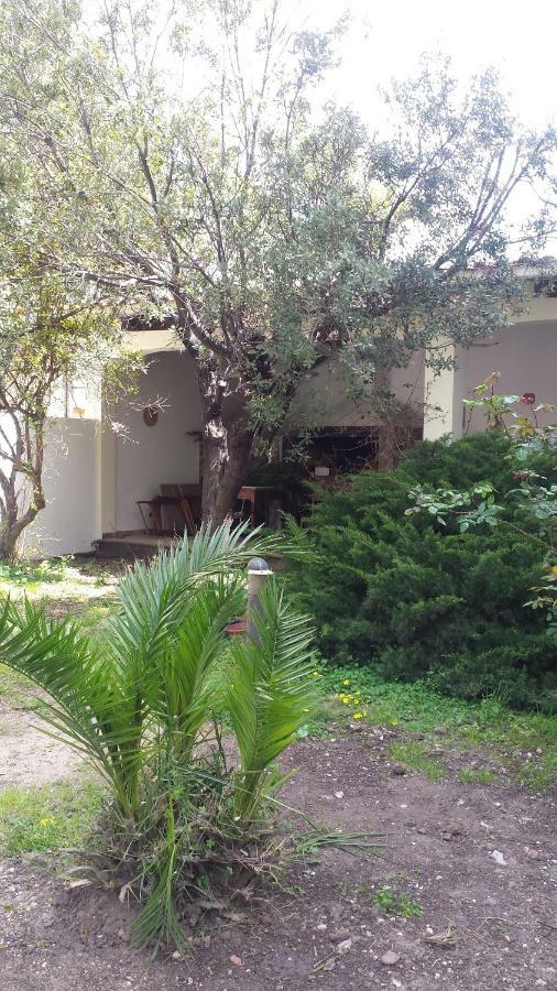 Apartmán La Terrazza Sul Parco Oristano Exteriér fotografie